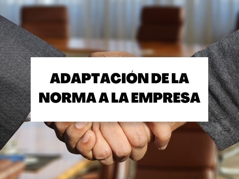 Adaptación de las normas a tu organización